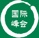 国际峰会